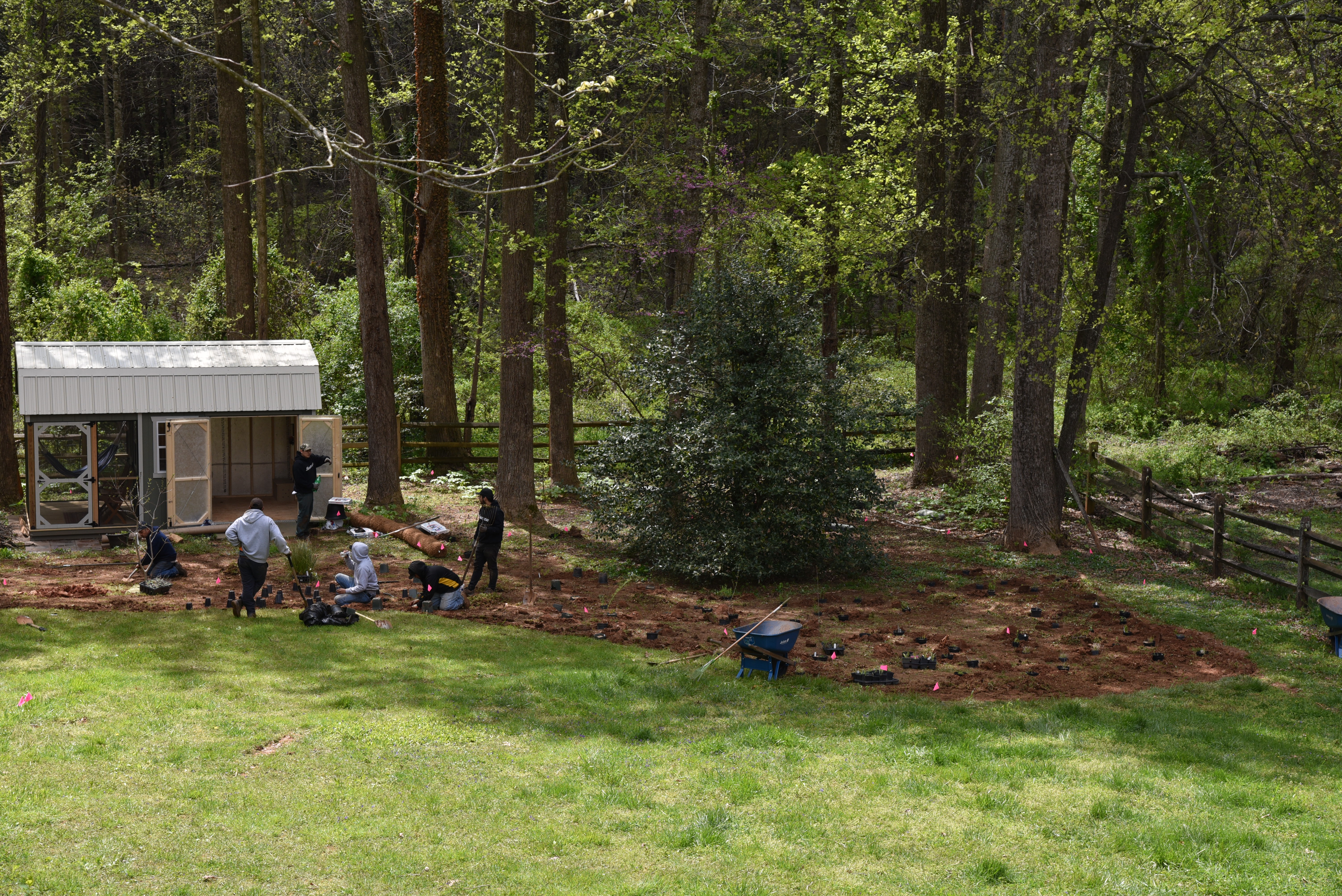 Ahimsa Do No Harm Ahimsa Native Plants Design Llc